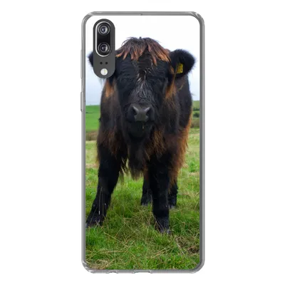 Produktbild von MuchoWow® Handyhülle Schutzhülle Hülle für Huawei P20 Schottische Highlander - Kühe - Natur - Grün - Gras Silikon Softcase Handy Hülle - Hardcover