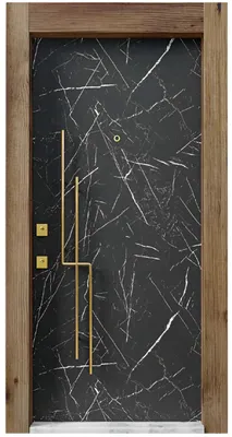Image de Porte d'entrée noire et blanche Portes d'hôtel design Portes d'appartement élégantes