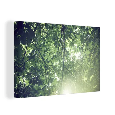 Obrázok produktu pre OneMillionCanvasses® - Maľba na plátne - Obraz na plátne Nástenná maľba na plátne - Pobočky v slnečnom svetle - 150x100cm - Fotografia na plátne -