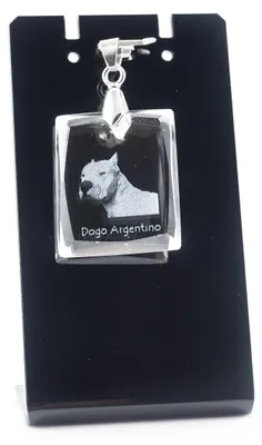 Zdjęcie produktu dla Dogo Argentino - Kryształowa zawieszka z psem, naszyjnik z fotografią, wyjątkowe biżuterii od Art-Dog