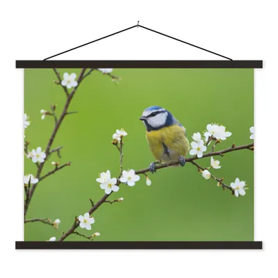 Produktbild von MuchoWow® Textilposter Blaumeise - Zweig - Blumen - Blühende Zweige - Vogel 150x113 cm mit holzfarbenen Rahmen - Poster