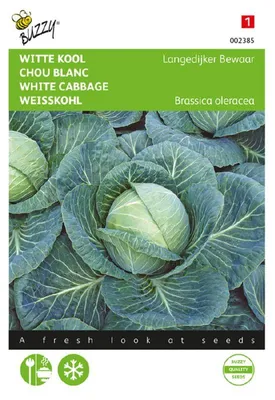 Produktbild von Buzzy Weißkohl Langedijker Bewaar