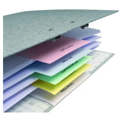 Immagine prodotto di Exacompta: strisce divisorie 105 x 240 mm, assortite, 100 pezzi