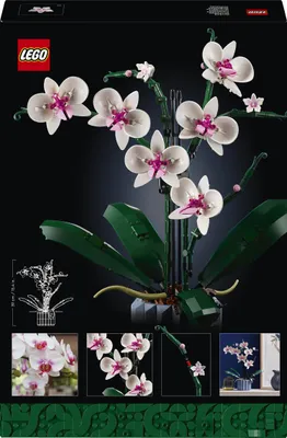 Obrázek produktu pro LEGO Botanicals Orchidej, Sada na stavění, 18 rok/roky, Plast, 608 kusů, 758 g