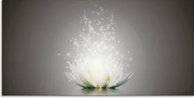 Produktbild von ARTland Glasbild Magie der Lotus-Blume - grau Größe: 100x50 cm