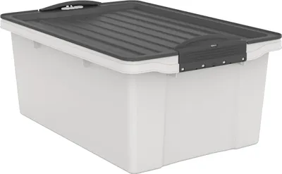 Produktbild von Rotho Aufbewahrungsbox Compact mit Deckel 39,5 x 27,5 cm 13 L mistletoe weiß