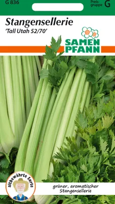 Produktbild von Stangensellerie Tall Utah | Stangenselleriesamen von Samen Pfann [MHD 01/2026]