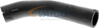 Zdjęcie produktu dla Wąż doładowujący turbosprężarki VAICO V24-0733, pasujący do:
* FIAT GRANDE PUNTO (199)
* FIAT PUNTO EVO (199)
* FIAT PUNTO EVO Van (199)
* FIAT Grande Punto Kastenwagen (199)
* ALFA ROMEO