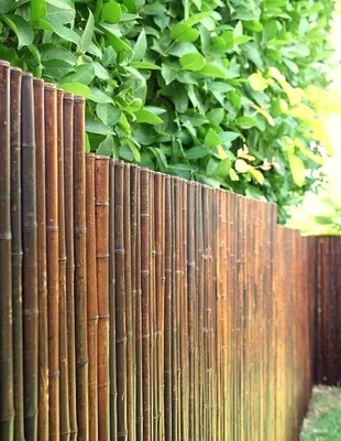 Produktbild von Bambus Sichtschutz  ATY NIGRA 90cm HOCHx180 cm BREIT – Rollzaun Garten, Sichtschutzmatte Balkon, Bambuszaun Braun, blickdicht & wetterfest
