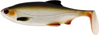Produktbild von Westin Ricky the Roach - Gummifisch, Länge / Gewicht:10cm / 14g, Farbe:Lively Roach