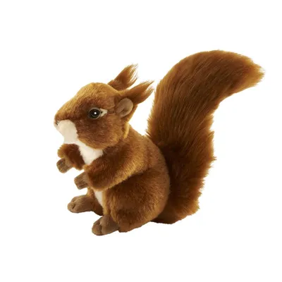 Produktbild von Anima - 1717 - Eichhörnchen, Plüsch, 20cm