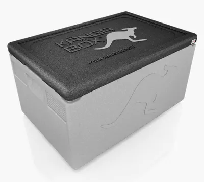 Zdjęcie produktu dla GN 1/1 Thermobox Professional 48 L, srebrny