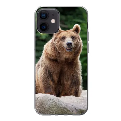 Produktbild von MuchoWow® Handyhülle Schutzhülle Hülle für iPhone 12 Wald - Bär - Steine Silikon Softcase Handy Hülle - Schutzhülle
