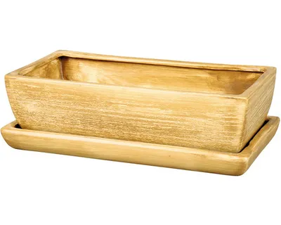 Image de Boîte à cactus KAKTUS O TEAK avec soucoupe 28 cm mat brun clair
