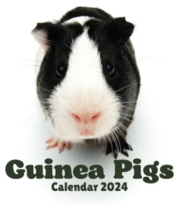 Meerschweinchen Kalender 2024 – Monatsplaner Sep 2023 bis Dez 2024