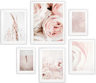 Image de XXL Poster pastel avec fleurs et épis - rose
