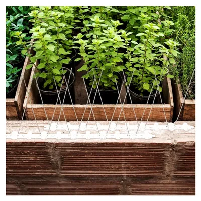 Produktbild von Edelstahl Vogelabwehrstreifen mit 20 Spitzen 25 cm – 5 Stück zur Taubenabwehr für Balkon und Garten, Schutz gegen Eichhörnchen und Katzen