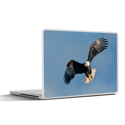 Produktbild von MuchoWow® Laptop Aufkleber Sticker Cover Weißkopfseeadler - Fliegen - Vogel 40x30 cm - Laptop Dekoration - Selbstklebend