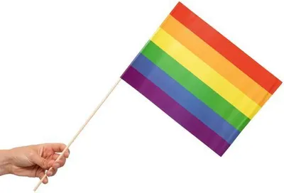 Produktbild von 10 Papier Fahnen Regenbogen 20 x 30 cm Handfahnen Pride LGBTQ