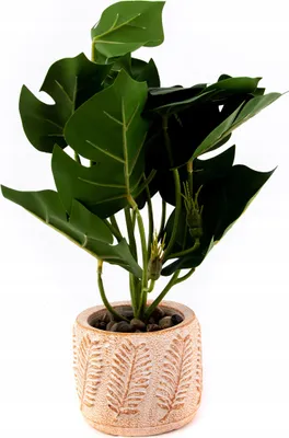 Produktbild von Kunstpflanze Philodendron im Topf 28cm - Pflegeleicht & Realistisch - Deko für Büro & Zuhause