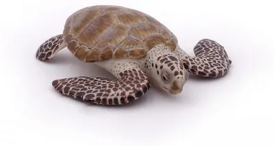 Immagine prodotto di Papo 56005 Figurina tartaruga caretta