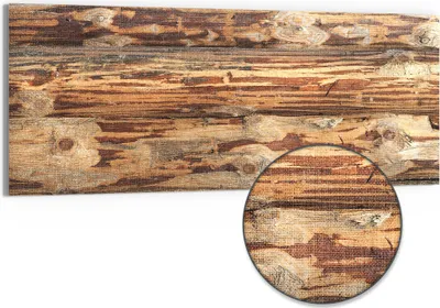 Produktbild von DEQORI Hybrid Leinwand Bild 150x60 cm 'Muster der Natur' Wandbild Glas flach modern