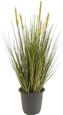Produktbild von Emerald Künstliches Gras - Theodor | 45 cm, für drinnen, Kunstpflanze, wie echt, Allergiker geeignet, pflanzliche Dekoration Praxis, Office & Wohnzimmer