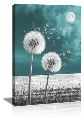 Produktbild von 4026 Pusteblumen Leinwandbild 80x60 cm