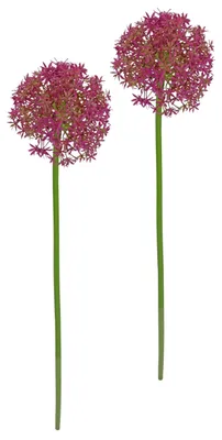 Productafbeelding van Kunstmatige Allium Bloemtak (Set van 2)