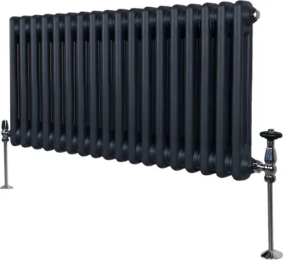 Zdjęcie produktu dla Tradycyjny grzejnik 2-kolumnowy - 300 x 832 mm - szary antracyt