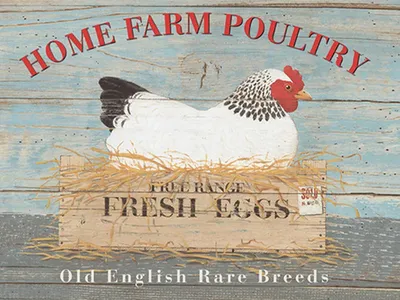 Produktbild von vianmo Holzschild 30x40 cm Home farm poultry fresh eggs