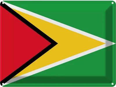 Produktbild von vianmo Blechschild 30x40 cm Guyanas Guyana Flagge Fahne Wappen
