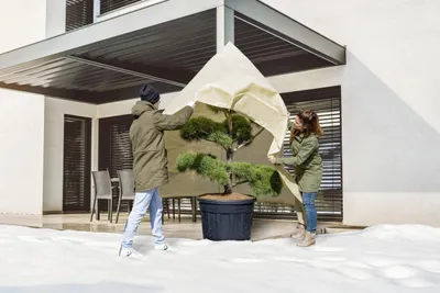 Produktbild von Windhager Vlieshaube Super-Protect XXL 2 x 2,4 m, beige