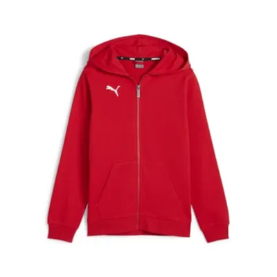 Image de Sweats Puma TeamGoal B25641