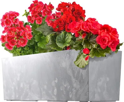 Produktbild von KADAX Blumentopf Blumentopf 56cm Abdeckung mit Einsatz Balkonkasten