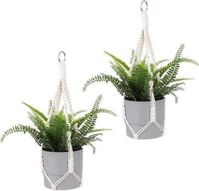 Image de 2 suspensions pour plantes en macramé en coton avec œillets métalliques, pour l'intérieur et l'extérieur