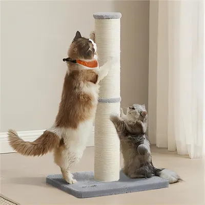 Produktbild von Feandrea Kratzbaum, Kratzsäule, 13 cm dicker Stamm, Kratzstamm für mittelgroße und große Katzen, mit Plüschball