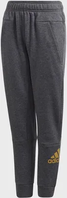 Produktbild von Adidas Kinder Sport/Jogginghose Young Boys ID HLD Pant ,ED6406, Grau, 164 , Neu