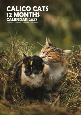 Obrázok produktu pre Kalendár formátu A3 na rok 2027 s motívom mačiek