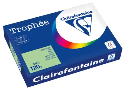 Image de Clairefontaine Kopierpapier 1215PC A4 120g grün 250Bl