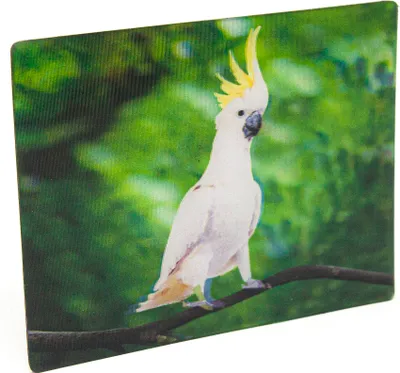 Produktbild von 3D Kakadu Kühlschrankmagnet 9 x 7 cm