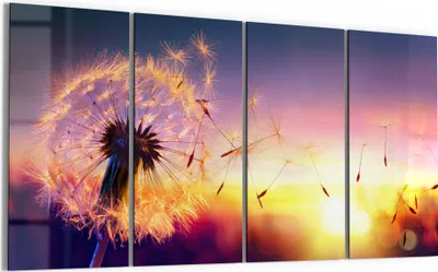 Produktbild von DEQORI Glasbild Echtglas 4x30x60 cm 'Pusteblume im Abendlicht' Wandbilder XXL groß