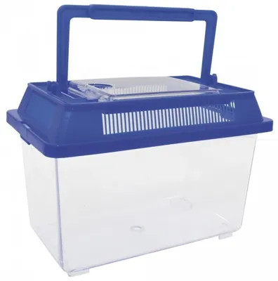 Immagine prodotto di Cofanetto di 2 insetti Eduplay