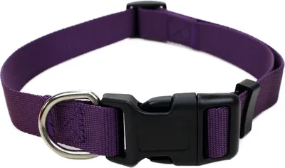 Produktbild von Robustes Hundehalsband aus Nylon – stufenlos verstellbar, leicht & bequem – Klickverschluss – für Welpen, kleine & große Hunde – S, M & L Größe L Lila