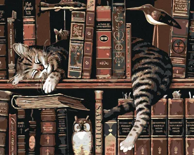 Produktbild von Diamondi - Diamond painting - KATER IN DER BIBLIOTHEK, 40X50 cm, ohne Keilrahmen