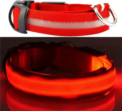 Zdjęcie produktu dla Obroża świecąca - Obroża LED - Obroża dla psa - Obroża - Czerwona - XS - 25 cm - Obroża dla zwierząt - Obroża - Pies świecący podczas spaceru