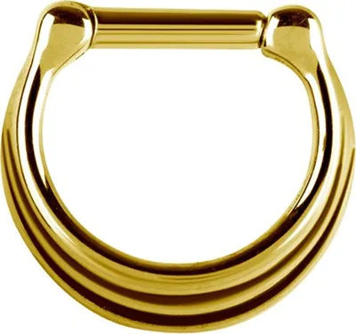Produktbild von Karisma Edelstahl 316L Septum Clicker 3 Ringe mit Black Streifen - Concave Segment Scharnier Ring Ohrring Nase 1,2x8mm - Gold