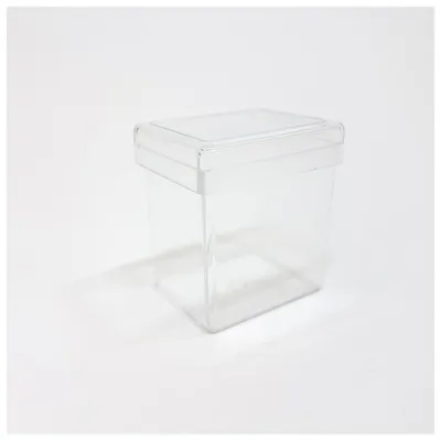 Obrázek produktu pro Döngesova plechovka průhledná s víkem, 47 x 34 x 42 mm (plastová plechovka)