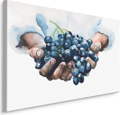 Produktbild von Fabelhafte Canvas LEINWAND BILDER 30x20 cm XXL Kunstdruck Obst Weintrauben Aquarell