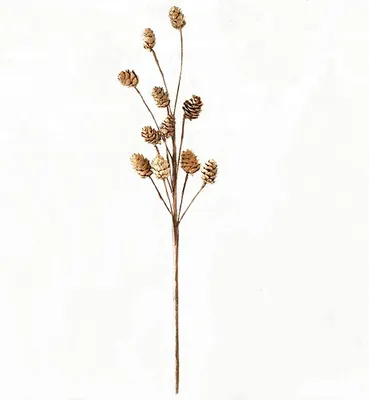 Produktbild von 2pcs Tannenzapfen Zweige Ornamente 11 Köpfe Tannenzapfen florale Zweige für Blumenarrangements Chirstmas Dekor